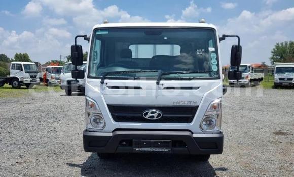 Buy Used Hyundai Chorus White Truck in Mohale's Hoek in Mohale's Hoek