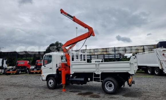 Buy Used Hino 300 Series Other Truck in Qacha's Nek in Quthing