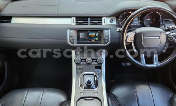 Sayi Na hannu Land Rover Range Rover Evoque White Mota in Maseru a Maseru Sayi Na hannu Land Rover Range Rover Evoque White Mota in Maseru a Maseru