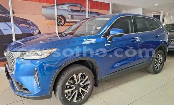 Sayi Na hannu Haval H6 Blue Mota in Maseru a Maseru Sayi Na hannu Haval H6 Blue Mota in Maseru a Maseru