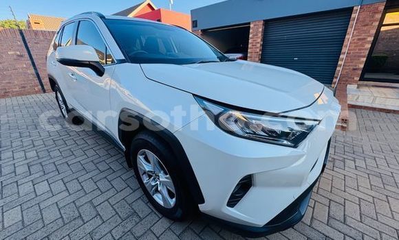Sayi Na hannu Toyota RAV4 White Mota in Qacha's Nek a Quthing Sayi Na hannu Toyota RAV4 White Mota in Qacha's Nek a Quthing