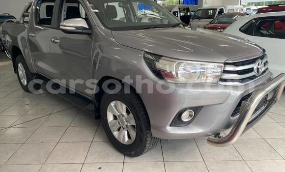 Buy Used Toyota Hilux Other Car in Butha–Buthe in Thaba-Tseka