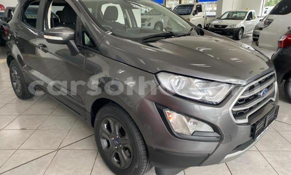 Buy Used Ford EcoSport Black Car in Butha–Buthe in Thaba-Tseka