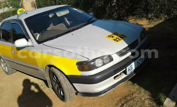 اشتري مستعمل Toyota Corolla Silver سيارة في Maseru في Maseru اشتري مستعمل Toyota Corolla Silver سيارة في Maseru في Maseru