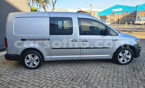 Buy Used Volkswagen Caddy Other Car in Maputsoe in Leribe