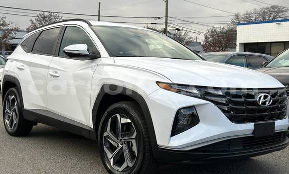 Buy Used Hyundai Tucson White Car in Maputsoe in Leribe