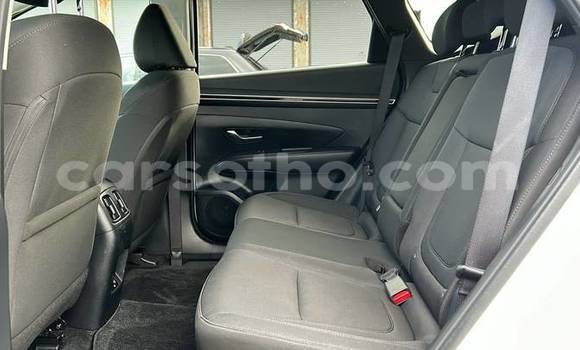 Acheter Occasion Voiture Hyundai Tucson Blanc à Maputsoe, Leribe Acheter Occasion Voiture Hyundai Tucson Blanc à Maputsoe, Leribe