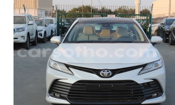 اشتري مستعمل Toyota Camry White سيارة في Maputsoa في Leribe اشتري مستعمل Toyota Camry White سيارة في Maputsoa في Leribe