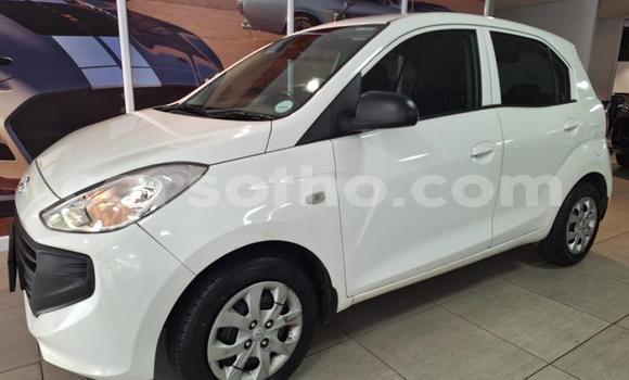 Buy Used Hyundai Atos White Car in Maseru in Maseru Buy Used Hyundai Atos White Car in Maseru in Maseru