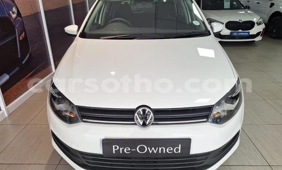 اشتري مستعمل Volkswagen Polo White سيارة في Maseru في Maseru