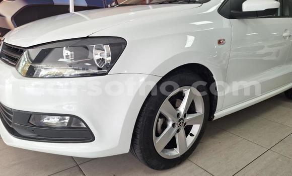 Buy Used Volkswagen Polo White Car in Maseru in Maseru Buy Used Volkswagen Polo White Car in Maseru in Maseru