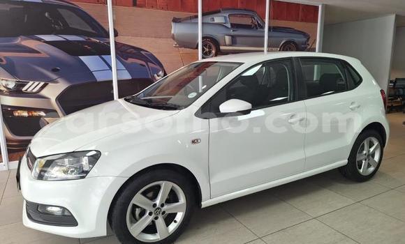 Buy Used Volkswagen Polo White Car in Maseru in Maseru Buy Used Volkswagen Polo White Car in Maseru in Maseru