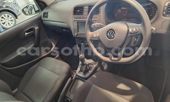 Buy Used Volkswagen Polo White Car in Maseru in Maseru Buy Used Volkswagen Polo White Car in Maseru in Maseru
