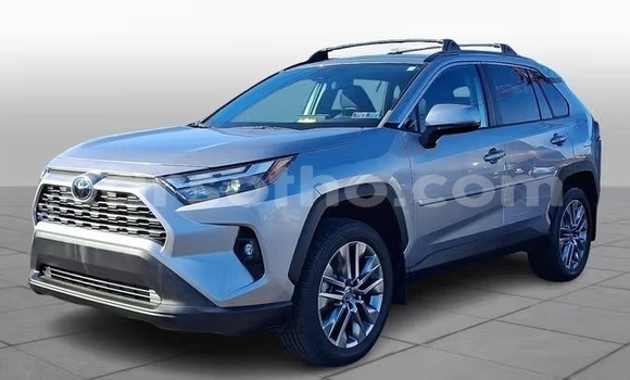 Buy Used Toyota RAV4 Silver Car in Maputsoe in Leribe