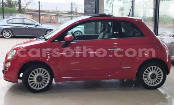 Buy Used Fiat 500 Red Car in Maseru in Maseru
