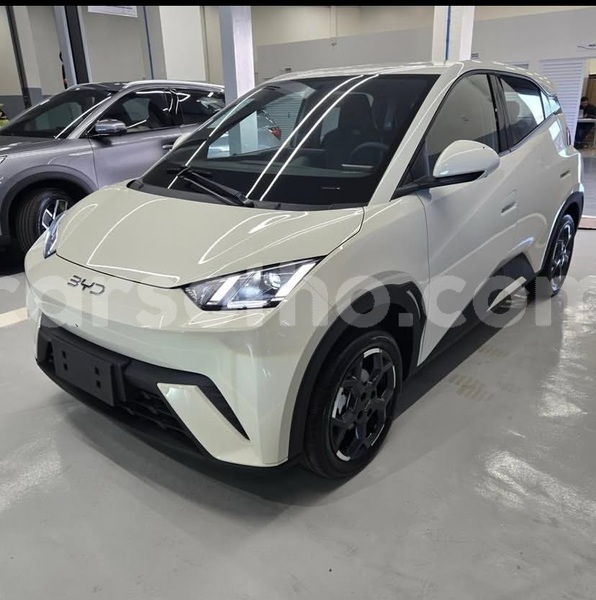 Big with watermark byd seagull leribe maputsoe 31531