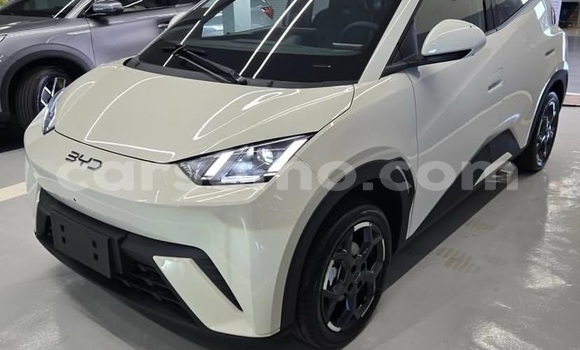 Buy Used BYD Seagull White Car in Maputsoe in Leribe