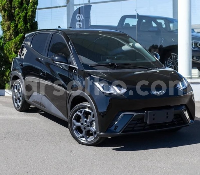 Big with watermark byd seagull leribe maputsoe 31531