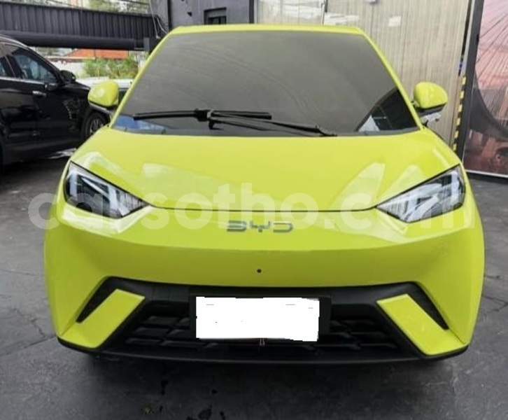 Big with watermark byd seagull leribe maputsoe 31531