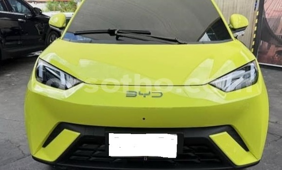 Buy Used BYD Seagull White Car in Maputsoe in Leribe Buy Used BYD Seagull White Car in Maputsoe in Leribe