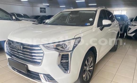Buy Used Haval H2 White Car in Butha Buthe in Butha-Buthe