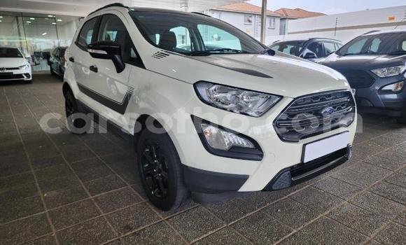 Buy Used Ford EcoSport White Car in Maseru in Maseru Buy Used Ford EcoSport White Car in Maseru in Maseru