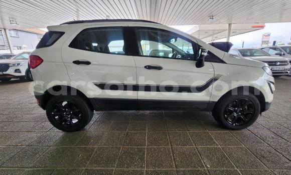 Buy Used Ford EcoSport White Car in Maseru in Maseru Buy Used Ford EcoSport White Car in Maseru in Maseru