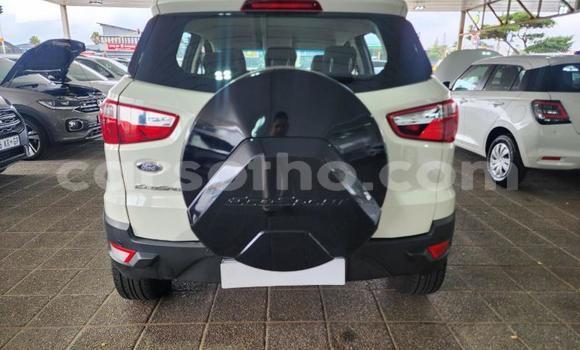 Buy Used Ford EcoSport White Car in Maseru in Maseru Buy Used Ford EcoSport White Car in Maseru in Maseru