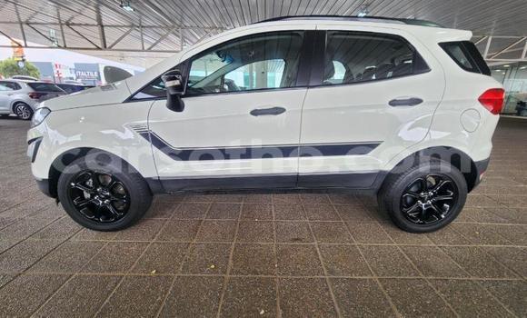 Buy Used Ford EcoSport White Car in Maseru in Maseru Buy Used Ford EcoSport White Car in Maseru in Maseru