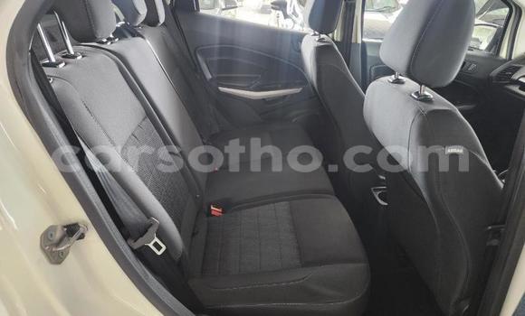 Buy Used Ford EcoSport White Car in Maseru in Maseru Buy Used Ford EcoSport White Car in Maseru in Maseru