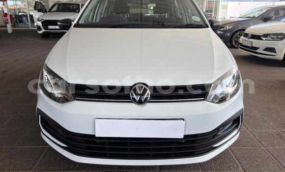 Buy Used Volkswagen Polo White Car in Maseru in Maseru