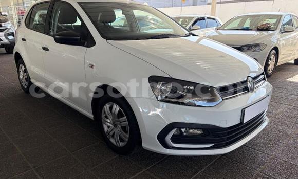 Buy Used Volkswagen Polo White Car in Maseru in Maseru Buy Used Volkswagen Polo White Car in Maseru in Maseru