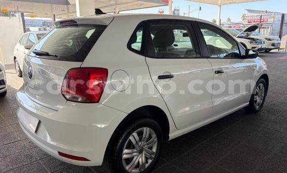 Buy Used Volkswagen Polo White Car in Maseru in Maseru Buy Used Volkswagen Polo White Car in Maseru in Maseru