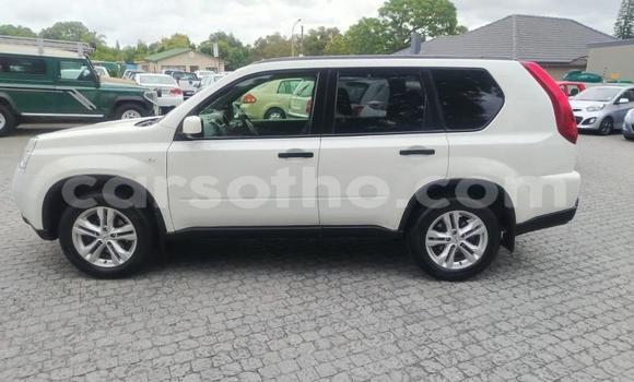 Buy Used Nissan X–Trail White Car in Maseru in Maseru Buy Used Nissan X–Trail White Car in Maseru in Maseru
