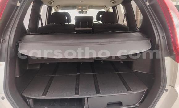 Buy Used Nissan X–Trail White Car in Maseru in Maseru Buy Used Nissan X–Trail White Car in Maseru in Maseru