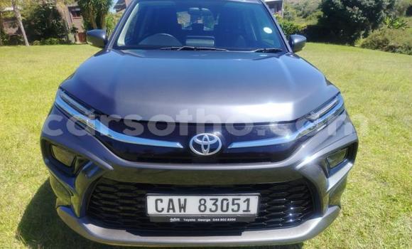 Buy Used Toyota Urban Cruiser Other Car in Maseru in Maseru