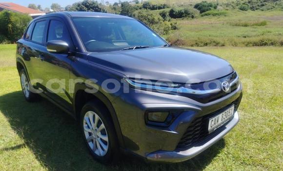 Acheter Occasion Voiture Toyota Urban Cruiser Autre à Maseru, Maseru Acheter Occasion Voiture Toyota Urban Cruiser Autre à Maseru, Maseru