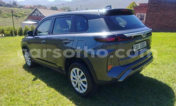 Acheter Occasion Voiture Toyota Urban Cruiser Autre à Maseru, Maseru Acheter Occasion Voiture Toyota Urban Cruiser Autre à Maseru, Maseru