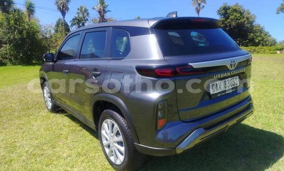 Acheter Occasion Voiture Toyota Urban Cruiser Autre à Maseru, Maseru Acheter Occasion Voiture Toyota Urban Cruiser Autre à Maseru, Maseru