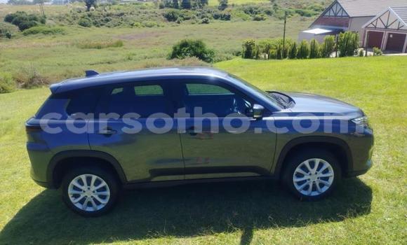 Acheter Occasion Voiture Toyota Urban Cruiser Autre à Maseru, Maseru Acheter Occasion Voiture Toyota Urban Cruiser Autre à Maseru, Maseru