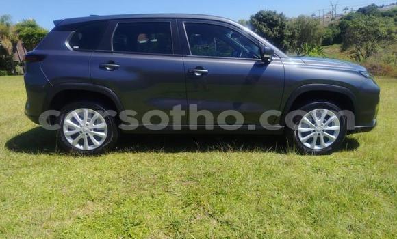 Acheter Occasion Voiture Toyota Urban Cruiser Autre à Maseru, Maseru Acheter Occasion Voiture Toyota Urban Cruiser Autre à Maseru, Maseru