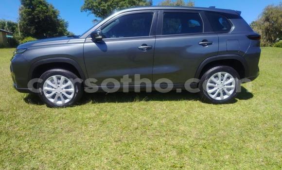 Acheter Occasion Voiture Toyota Urban Cruiser Autre à Maseru, Maseru Acheter Occasion Voiture Toyota Urban Cruiser Autre à Maseru, Maseru