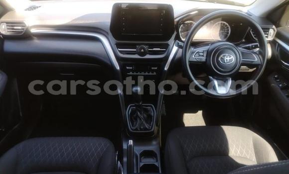 Acheter Occasion Voiture Toyota Urban Cruiser Autre à Maseru, Maseru Acheter Occasion Voiture Toyota Urban Cruiser Autre à Maseru, Maseru