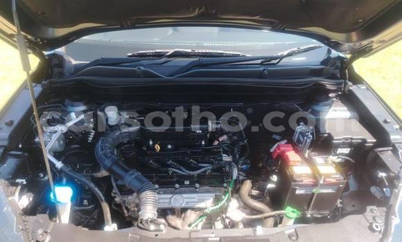 Acheter Occasion Voiture Toyota Urban Cruiser Autre à Maseru, Maseru Acheter Occasion Voiture Toyota Urban Cruiser Autre à Maseru, Maseru