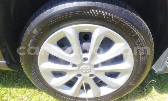 Acheter Occasion Voiture Toyota Urban Cruiser Autre à Maseru, Maseru Acheter Occasion Voiture Toyota Urban Cruiser Autre à Maseru, Maseru