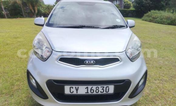 Buy Used Kia Picanto Silver Car in Maseru in Maseru