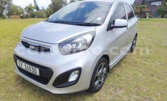 اشتري مستعمل Kia Picanto Silver سيارة في Maseru في Maseru اشتري مستعمل Kia Picanto Silver سيارة في Maseru في Maseru