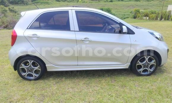 اشتري مستعمل Kia Picanto Silver سيارة في Maseru في Maseru اشتري مستعمل Kia Picanto Silver سيارة في Maseru في Maseru