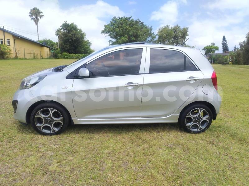 Big with watermark kia picanto maseru maseru 31555