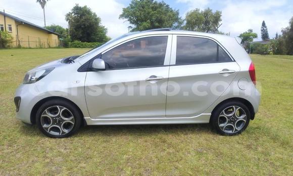 اشتري مستعمل Kia Picanto Silver سيارة في Maseru في Maseru اشتري مستعمل Kia Picanto Silver سيارة في Maseru في Maseru